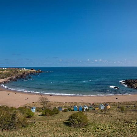 فيلا 7 The Bay Coldingham المظهر الخارجي الصورة