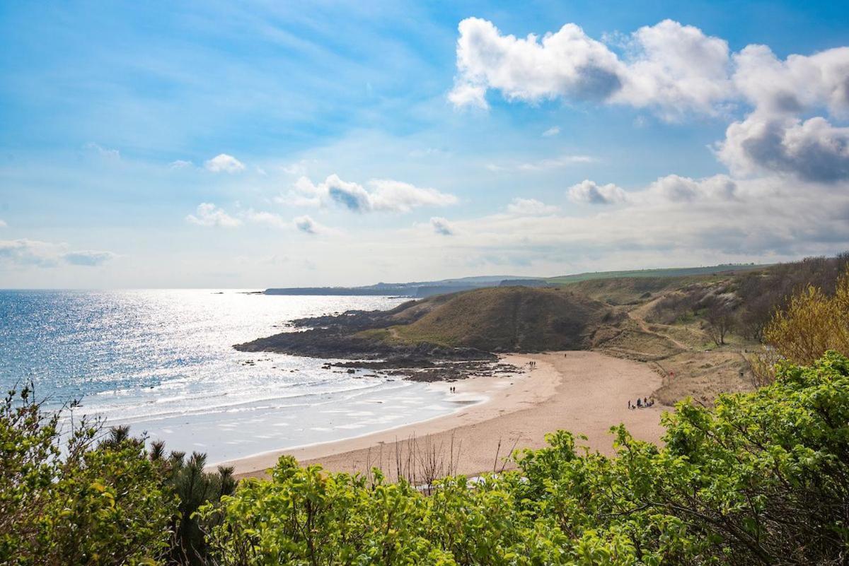 فيلا 7 The Bay Coldingham المظهر الخارجي الصورة